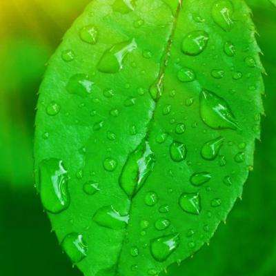 开yun体育官网入口登录苹果