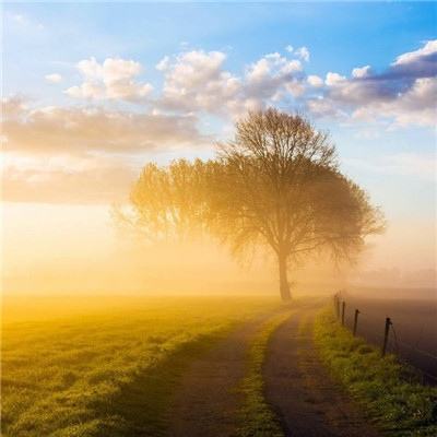 万博全站(ManBetX)下载手机版